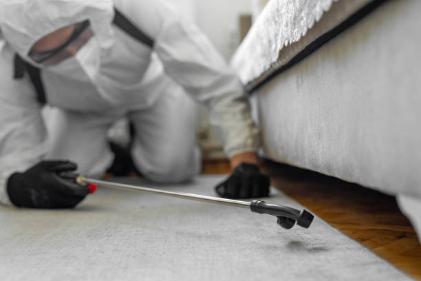Professional Pest Control technician working in Marion County County, AR